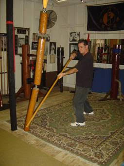 Long pole training. Low strike.